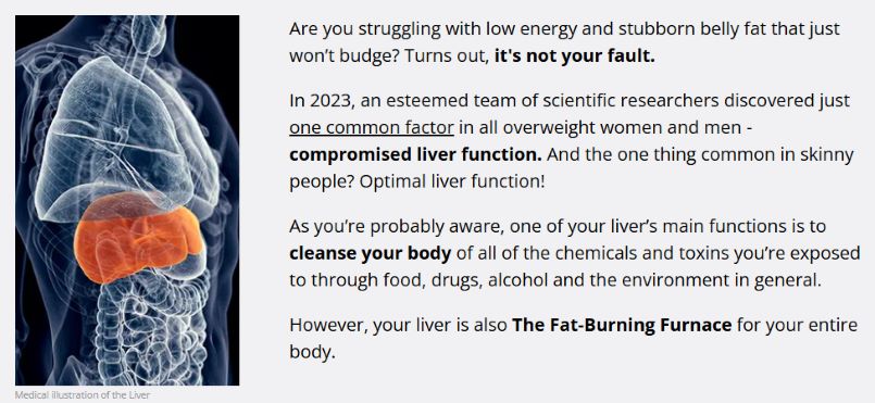 How Does Hepatoburn Work How Does Hepatoburn Work